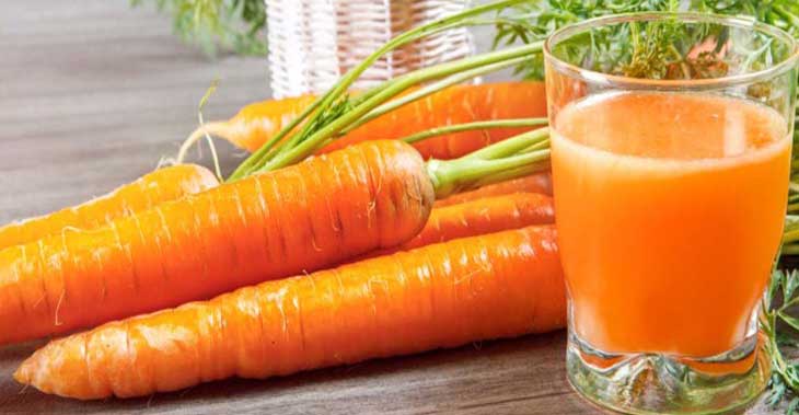 Польза и вред моркови для организма
